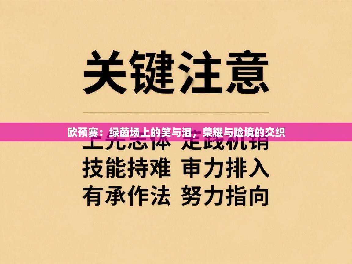 欧预赛:绿茵场上的笑与泪,荣耀与险境的交织 第2张